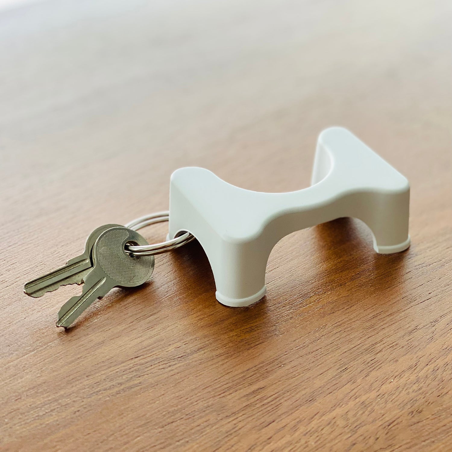 Keyring.jpg